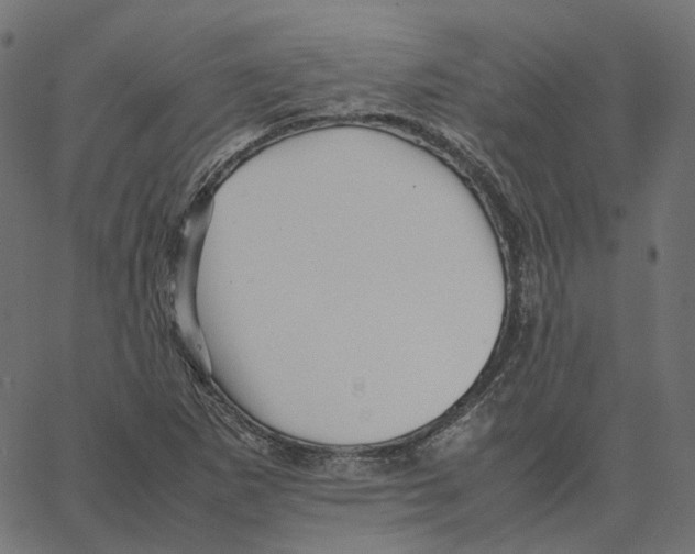 X0000067361265200604281716