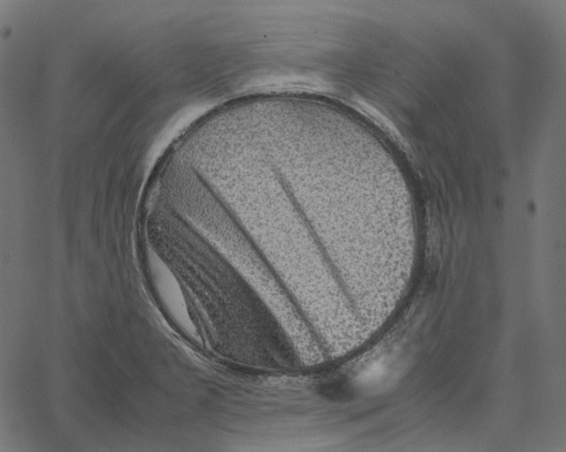 X0000067361277200604281716