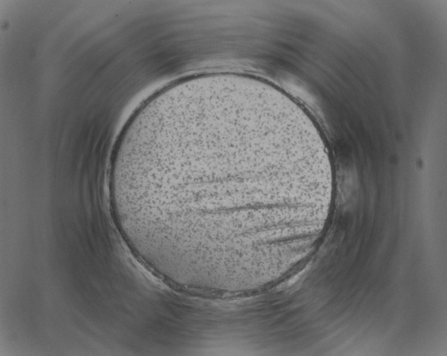 X0000067361288200604281715