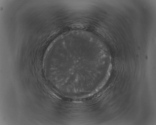 X0000067361297200604281715