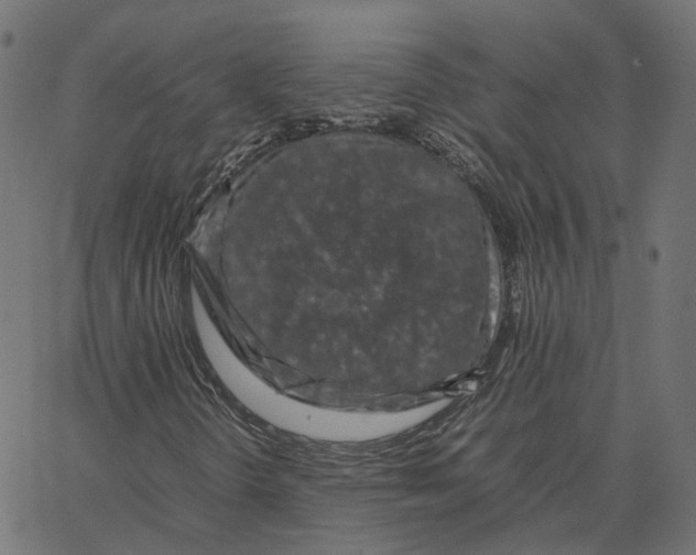 X0000067361298200604281715