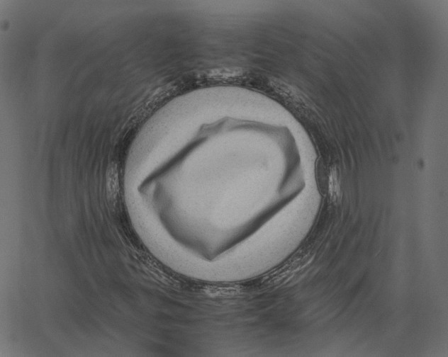 X0000067361299200604281715