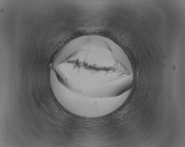 X0000067361300200604281715