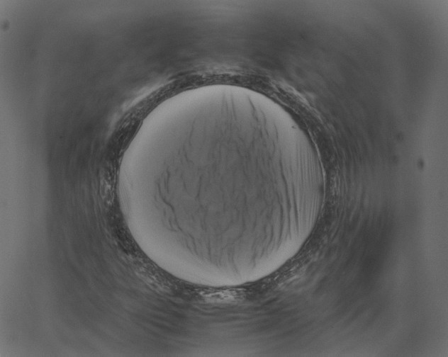 X0000067361303200604281715