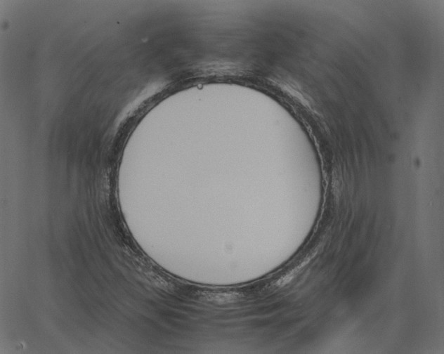 X0000067361309200604281715
