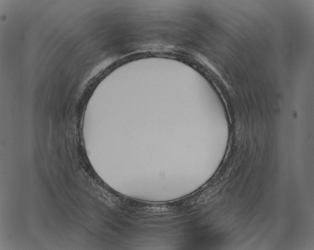 X0000067361315200604281715