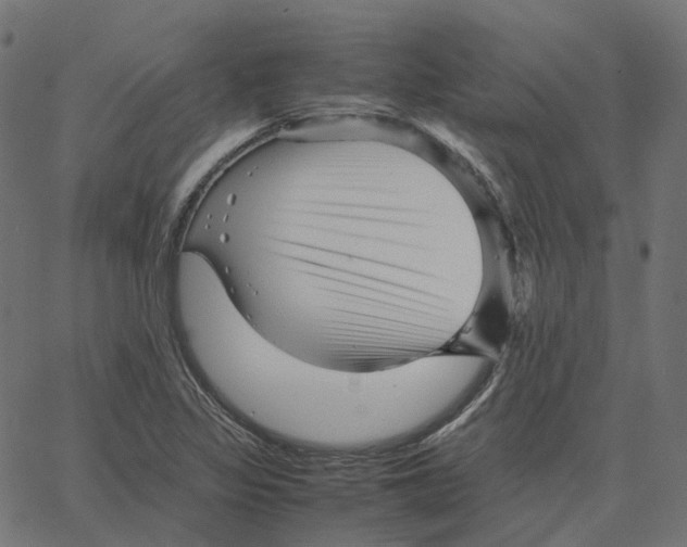 X0000067361317200604281715