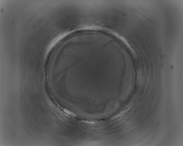 X0000067361319200604281715