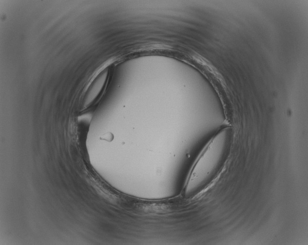 X0000067361321200604281715