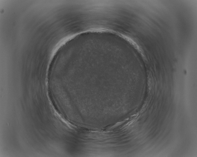 X0000067361327200604281715