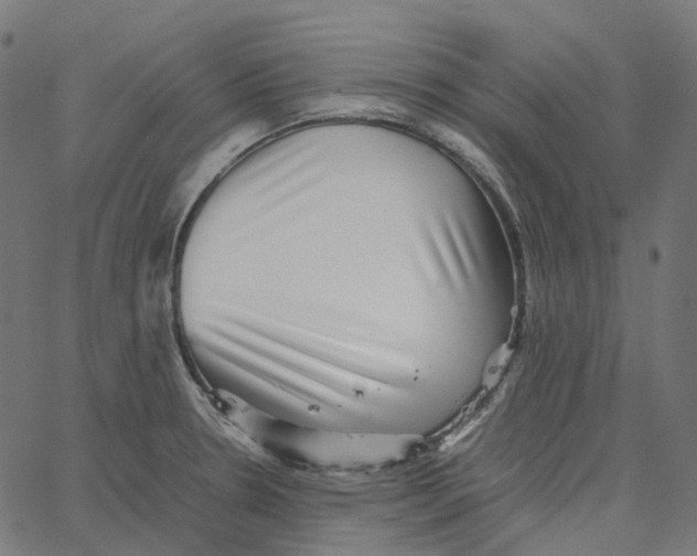 X0000067361330200604281715
