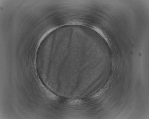 X0000067361331200604281715