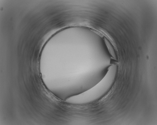 X0000067361340200604281715