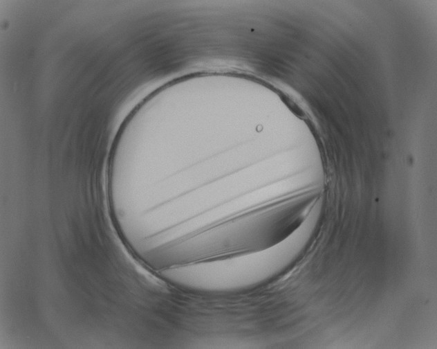 X0000067361343200604281715