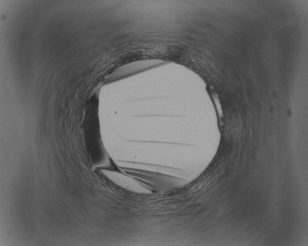 X0000067361345200604281715