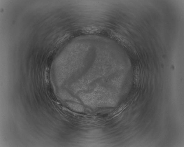 X0000067361346200604281715