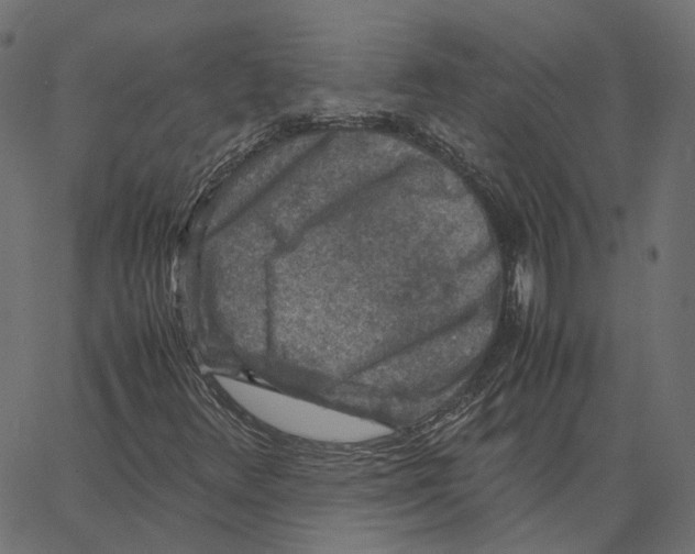 X0000067361348200604281714