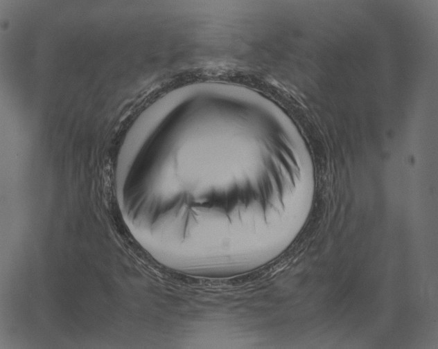X0000067361349200604281714