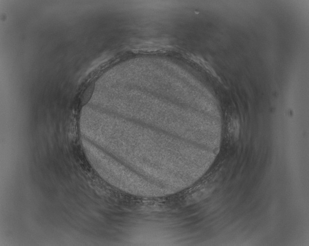 X0000067361350200604281714