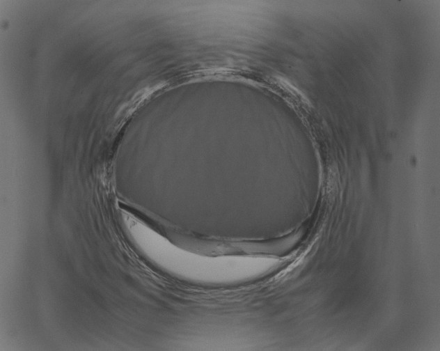 X0000067361353200604281714