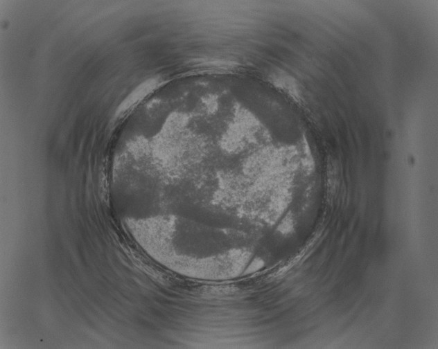 X0000067361354200604281714
