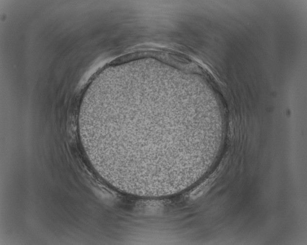 X0000067361355200604281714