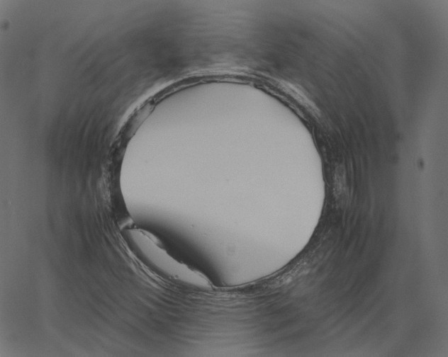 X0000067361356200604281714