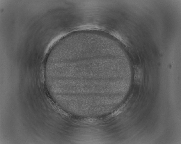 X0000067361358200604281714