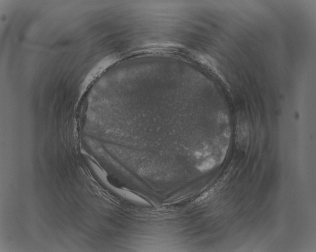 X0000067361362200604281714