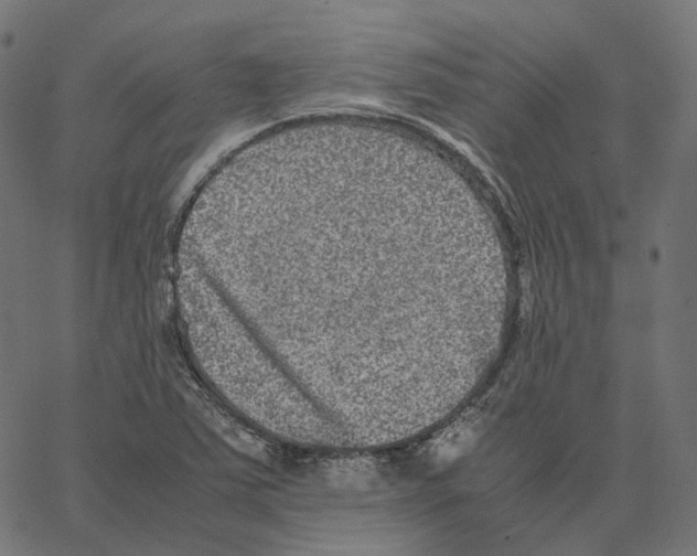 X0000067361363200604281714