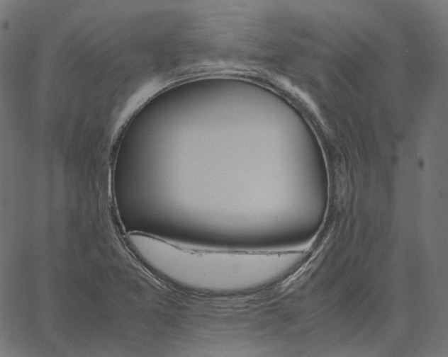 X0000067361365200604281714