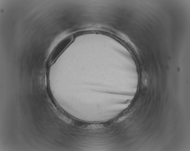X0000067361368200604281714