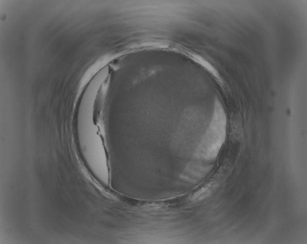 X0000067361373200604281714
