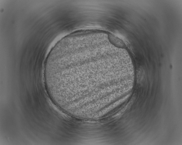 X0000067361374200604281714