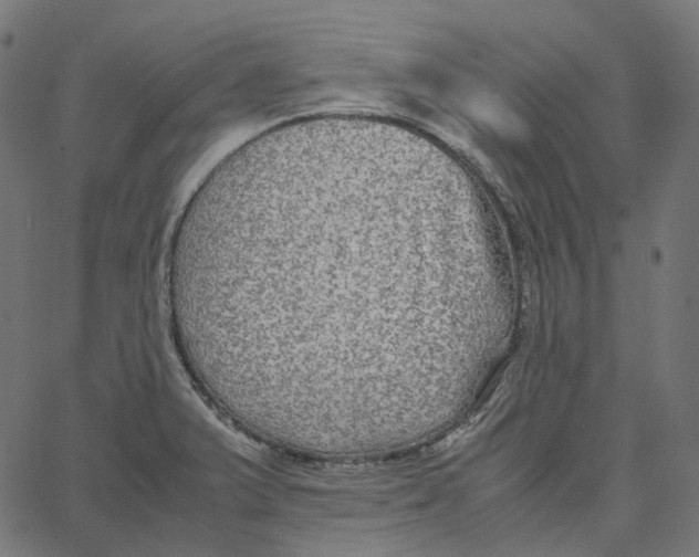 X0000067361375200604281714