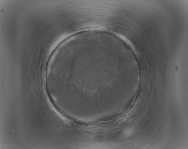 X0000067361383200604281714