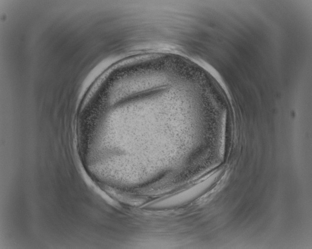 X0000067361389200604281714