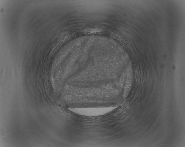 X0000067361393200604281713