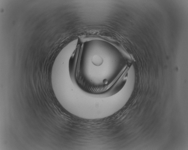 X0000067361394200604281713