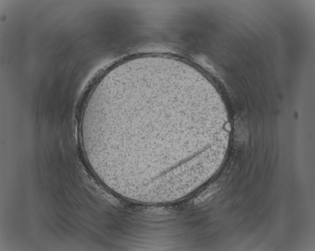 X0000067361408200604281713