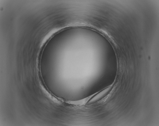 X0000067361422200604281713
