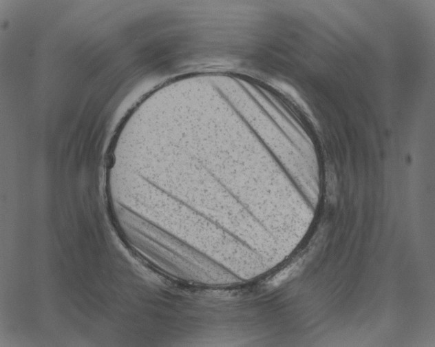 X0000067361424200604281713