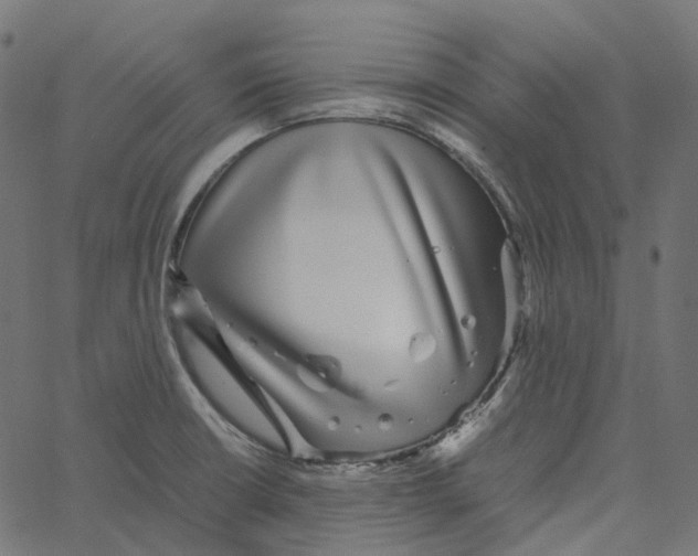 X0000067361426200604281714
