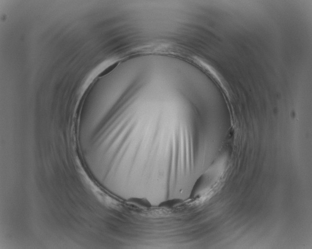 X0000067361434200604281714