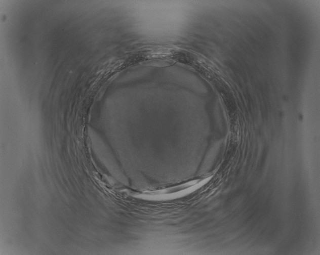 X0000067361441200604281713