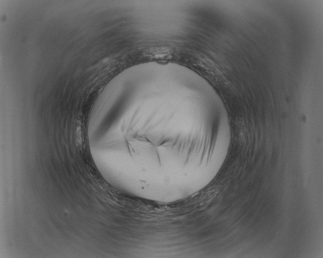 X0000067361442200604281713