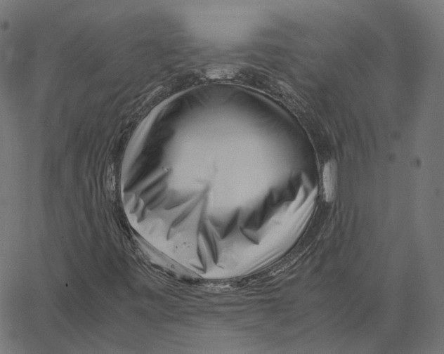 X0000067361443200604281713