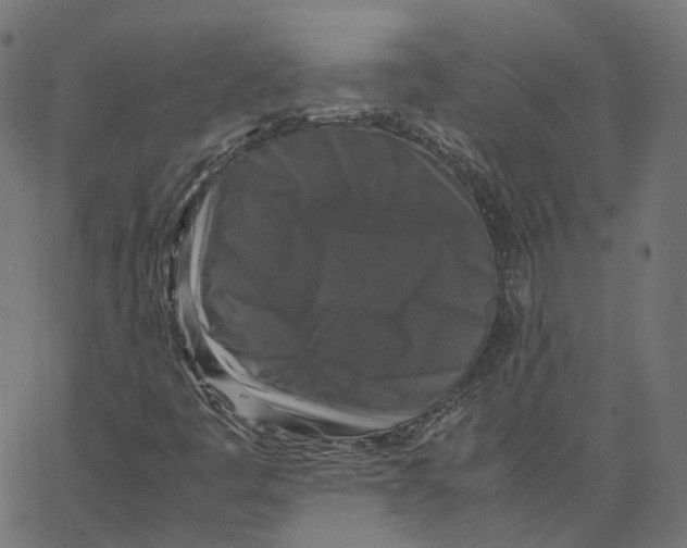 X0000067361445200604281713