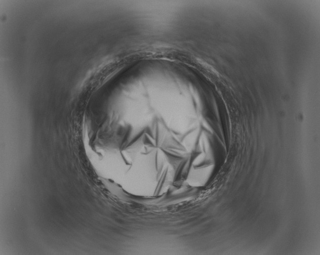 X0000067361447200604281713