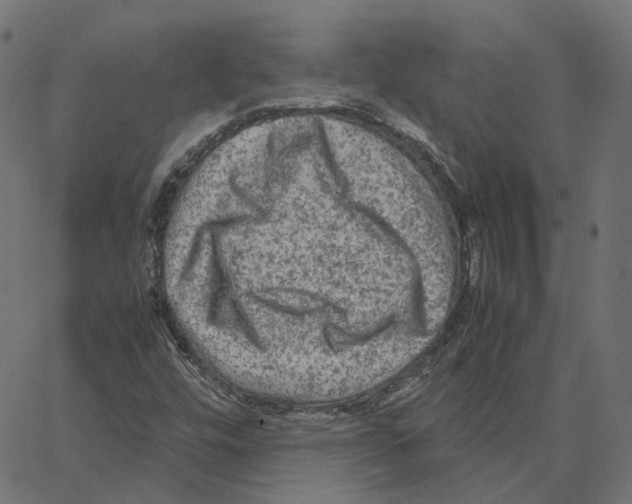 X0000067361448200604281713